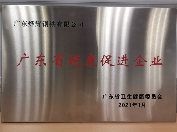 喜讯！我司荣获广东省卫生健康委员会颁发 “广东省健康促进企业”荣誉称号